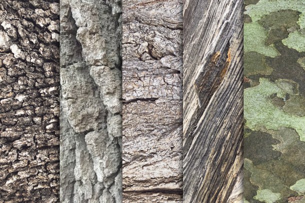 2 Tree Bark Textures Vol 1 x10 (1820)